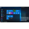 Microsoft Windows 10 Home (x64) RU OEM