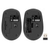 Беспроводная мышь ExeGate Professional Standard SR-9005 (радиоканал 2,4 ГГц, USB, оптическая, 1200dpi, 4D, 4 кнопки и колесо прокрутки, черная, RTL)