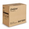Аккумуляторная батарея ExeGate DTM 1255 (12V 55Ah, под болт М6)