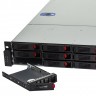 Серверный корпус ExeGate Pro 2U550-HS12 <RM 19", высота 2U, глубина 550, БП 1U-800ADS,12xHotSwap, USB>