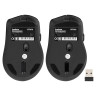 Беспроводная мышь ExeGate Professional Standard BT-070 (радиоканал 2,4 ГГц+Bluetooth5.2, оптическая, 1600dpi, 6D, 6 кнопок и колесо прокрутки, 500mah аккумулятор, черная, серая вставка, RTL)
