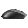 Беспроводная мышь ExeGate Professional Standard BT-070 (радиоканал 2,4 ГГц+Bluetooth5.2, оптическая, 1600dpi, 6D, 6 кнопок и колесо прокрутки, 500mah аккумулятор, черная, серая вставка, RTL)