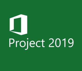 Microsoft Project 2019