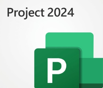 Microsoft Project 2024